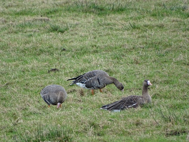 实现更高的 实现更高的