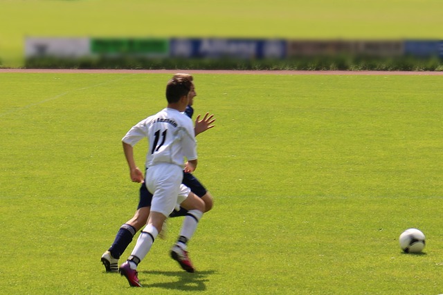 因为这里有 因为这里有