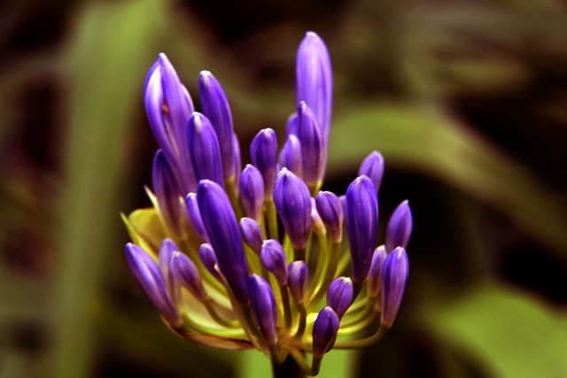 马龙祝莎头圆梦洛杉矶奥运.