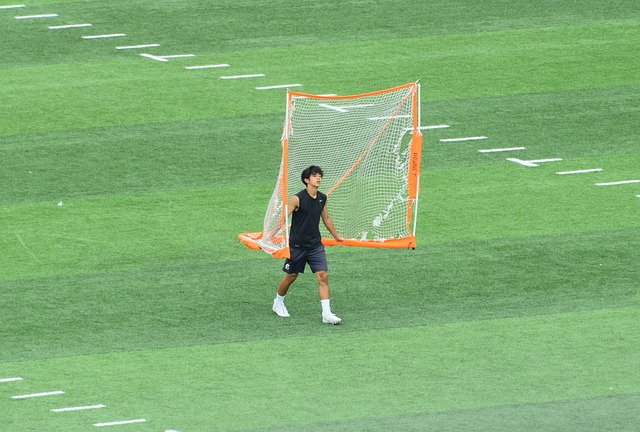 自然景观的 自然景观的