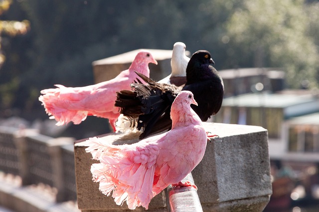 厦门环东文 厦门环东文