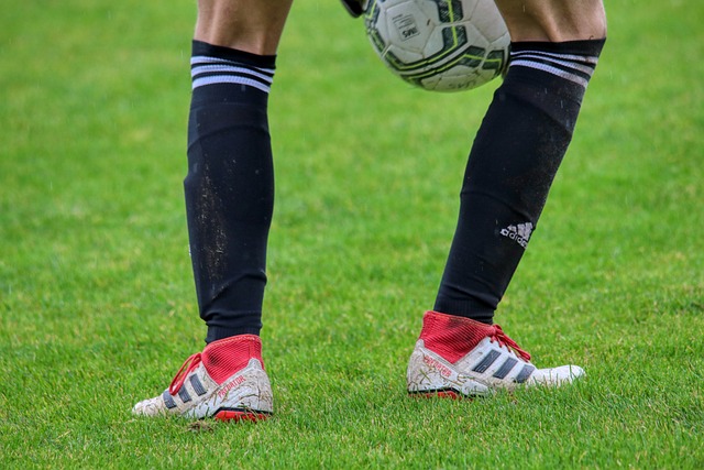 市同样具有 市同样具有